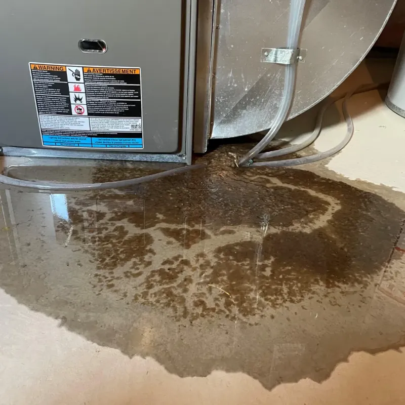 Appliance Leak Cleanup in Lyndonville, VT